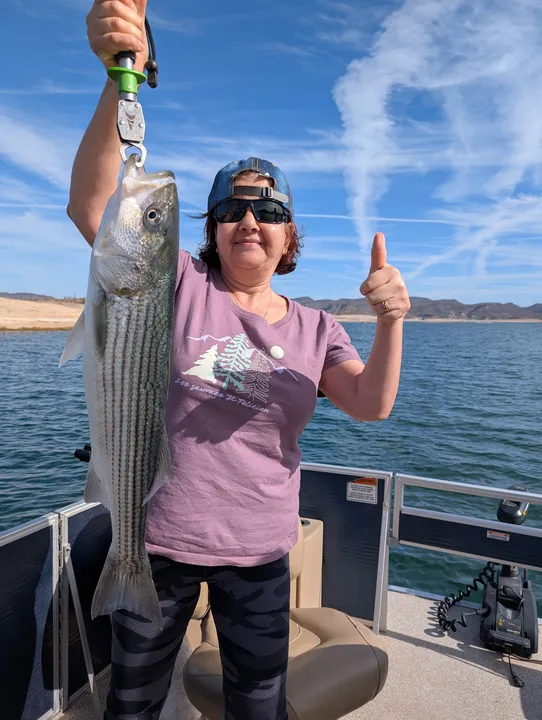 Reeling in Stripers at Scenic Lake Pleasant, Arizona