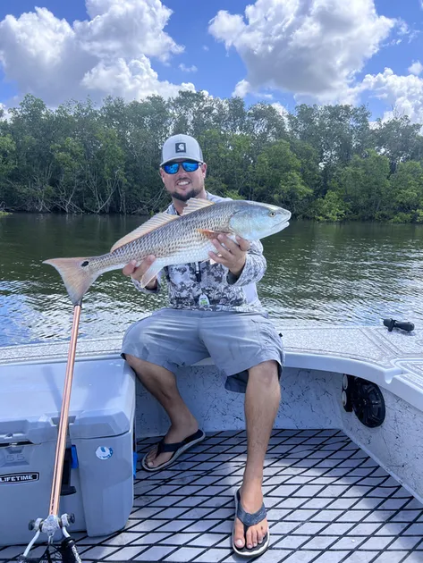 Riverview FL Redfish Fishing Trip Catch Sciaenops Ocellatus